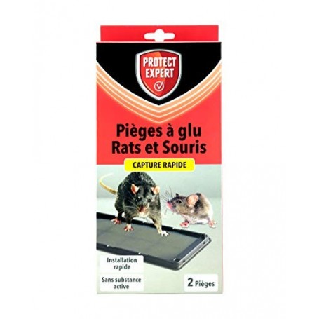 PIEGES GLU RAT & SOURIS X2 - PROTECT EXPERT